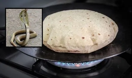 नाग पंचमी पर तवा वर्जित क्यों? जानें धार्मिक और वैज्ञानिक वजहें