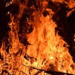 लखनऊ: 500 स्कूल वाहन चालक आपराधिक रिकॉर्ड, ड्राइविंग बैन