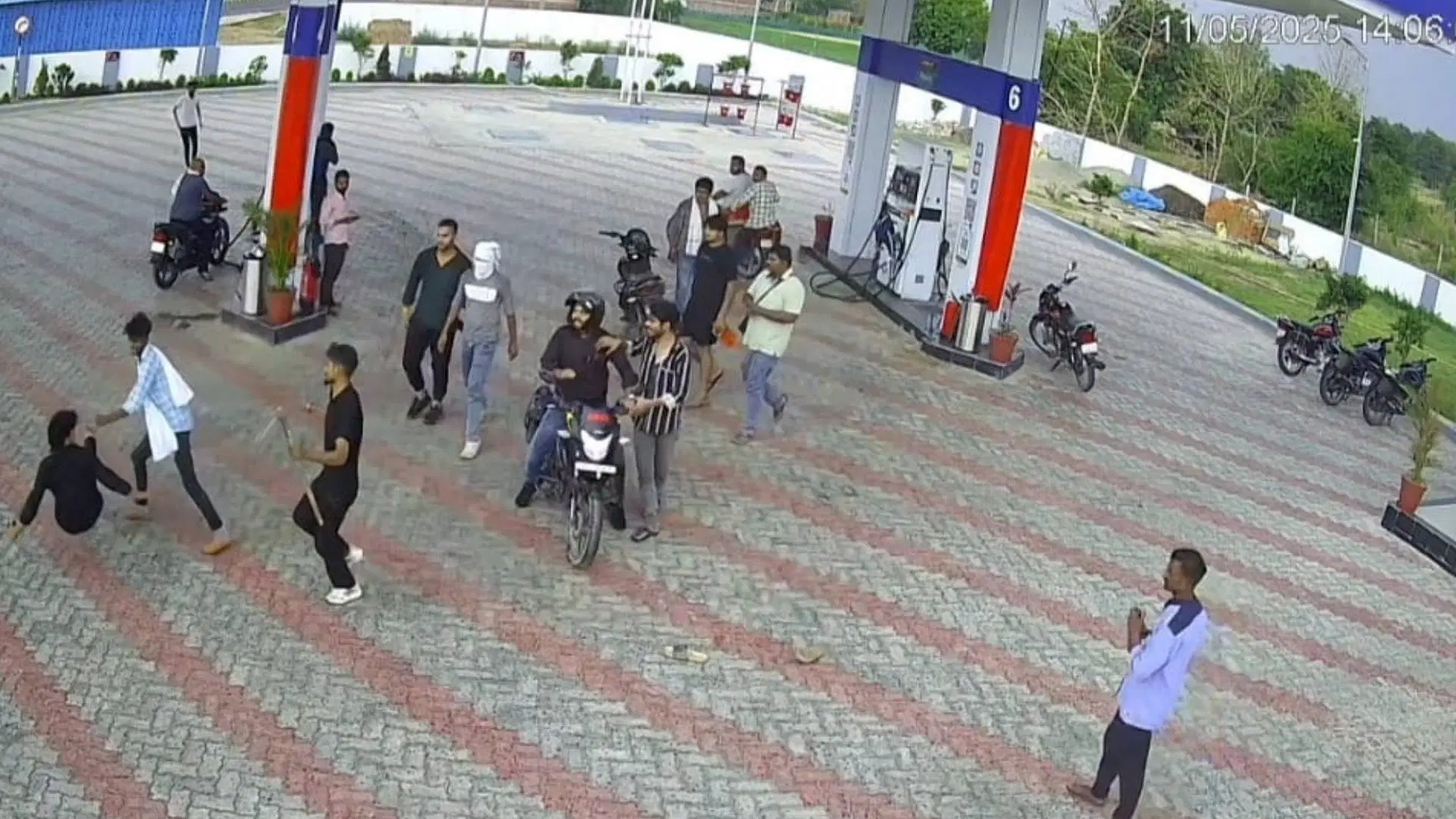 Lucknow: दबंगों के हमले में हस्की पपी की मौत, CCTV में कैद