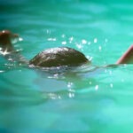 लखनऊ में शिया प्रदर्शन: कल्बे जव्वाद ने उठाया हुसैनाबाद ट्रस्ट मुद्दा