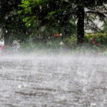 भूपालसागर मंदिर लूट: तीन आरोपी गिरफ्तार, सुराग मिला