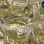 ABVP Ultimatum: 48 घंटे में प्रदेशव्यापी प्रदर्शन, FIR की मांग