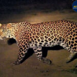 लखनऊ: 7 लाख हाउस टैक्स नोटिस, पेंशनर महिला ने शिकायत की