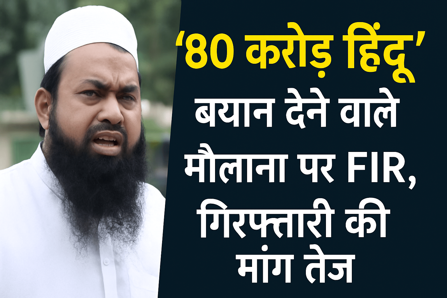80 करोड़ हिंदू’ बयान पर मौलाना पर FIR, गिरफ्तारी की मांग