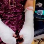 UP में सपा को बड़ी राहत, मुरादाबाद दफ्तर पर कोर्ट का फैसला