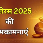 Dhanteras 2025 Tips :धनतेरस पर भूलकर भी न खरीदें ये चीजें, नाराज होंगी मां लक्ष्मी