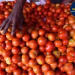Devuthani Ekadashi 2025: जानें तारीख, मुहूर्त और पूजा विधि