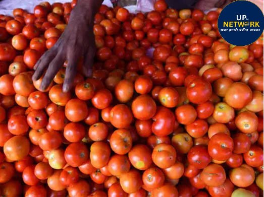 पाकिस्तान में टमाटर 600 रुपये किलो, दाम 400% बढ़े