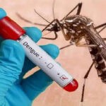 Quick Weight Loss Tips: शादी से पहले ऐसे घटाएं वजन