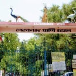 Lucknow: कपड़ा व्यापारी के बेटे ने महिला कर्मी से रेप किया