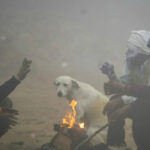 Lucknow News: 39 खाद दुकानों पर छापा, 2 को नोटिस जारी