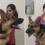 Lucknow: पुलिस कार की टक्कर से कारोबारी की मौत