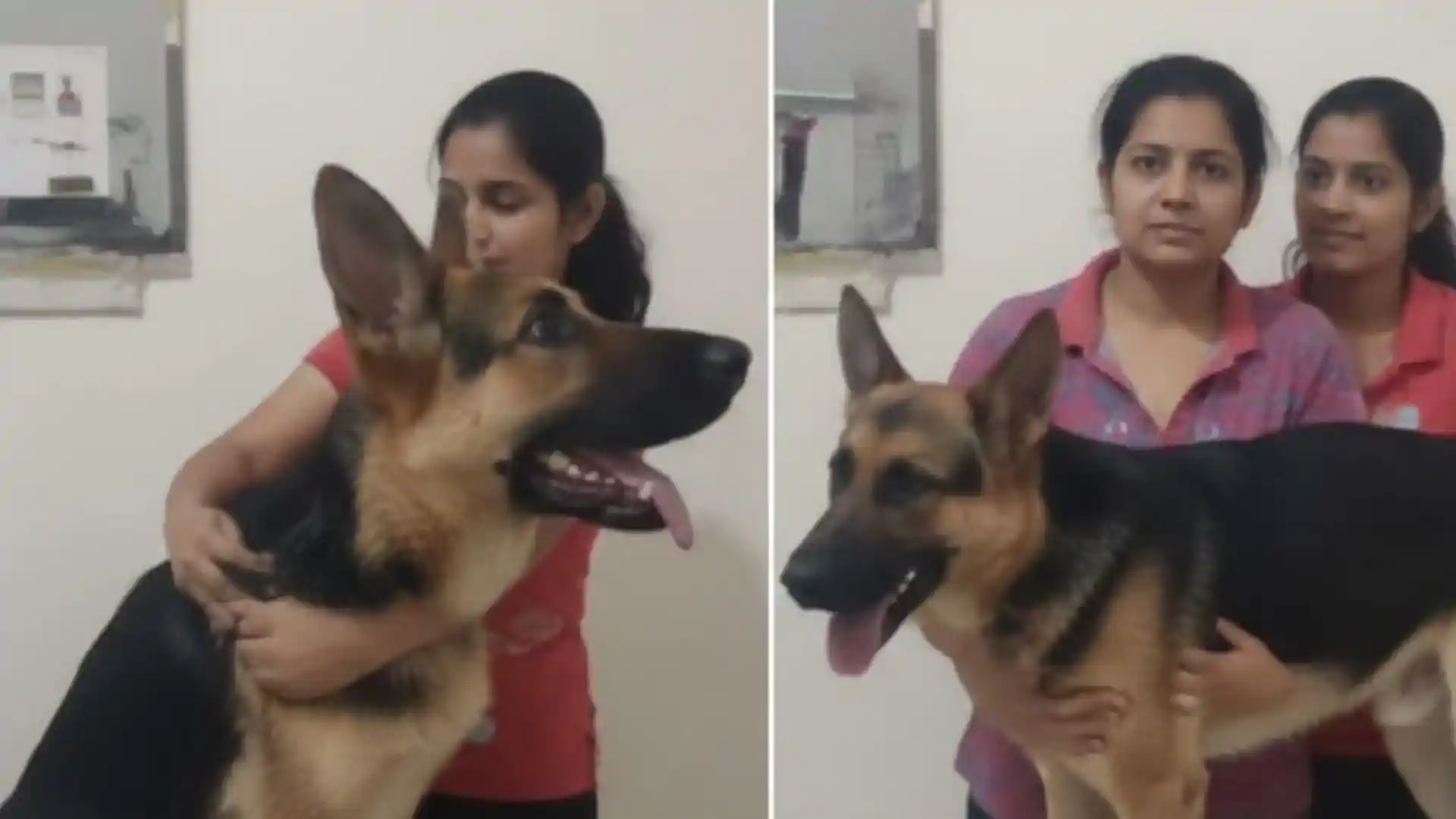 Lucknow: बहनों के सुसाइड के बाद डॉग टोनी की मौत