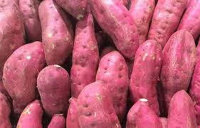 Sweet Potato Recipes: शकरकंद के टेस्टी विंटर पकवान