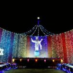 लखनऊ में ईरानी नस्ल का जुल्जना घोड़ा चोरी