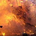 UP Crime: बस्ती में युवक ने कुत्ते और 12 पिल्लों को मारा