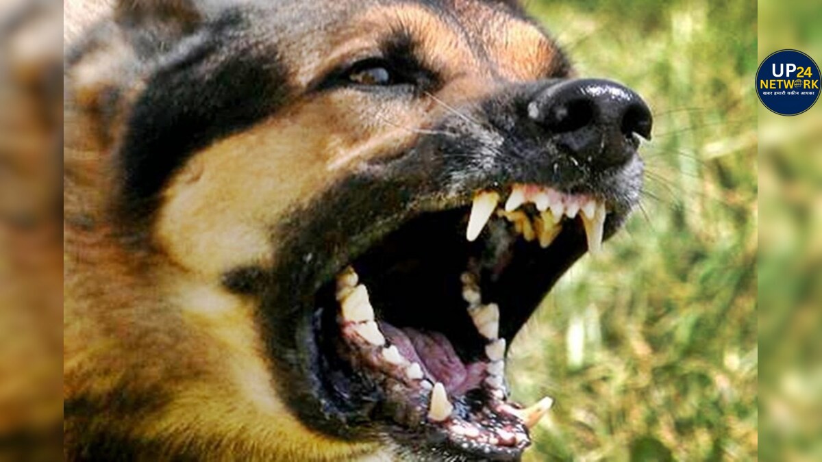 UP Crime: बस्ती में युवक ने कुत्ते और 12 पिल्लों को मारा