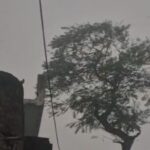 लखनऊ में BJP विधायक के भतीजे ने की आत्महत्या, फ्लैट में मिला शव