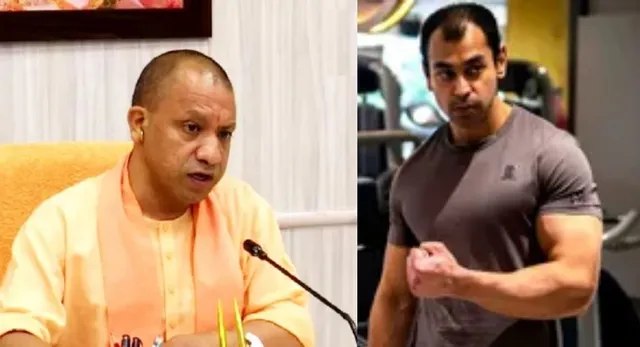 yogi