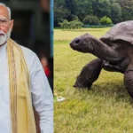 पुणे किला हत्याकांड: सिया गोयल की मां ने मांगी बेटी के लिए कड़ी से कड़ी सजा, सरकार ने भी तेज की कार्रवाई