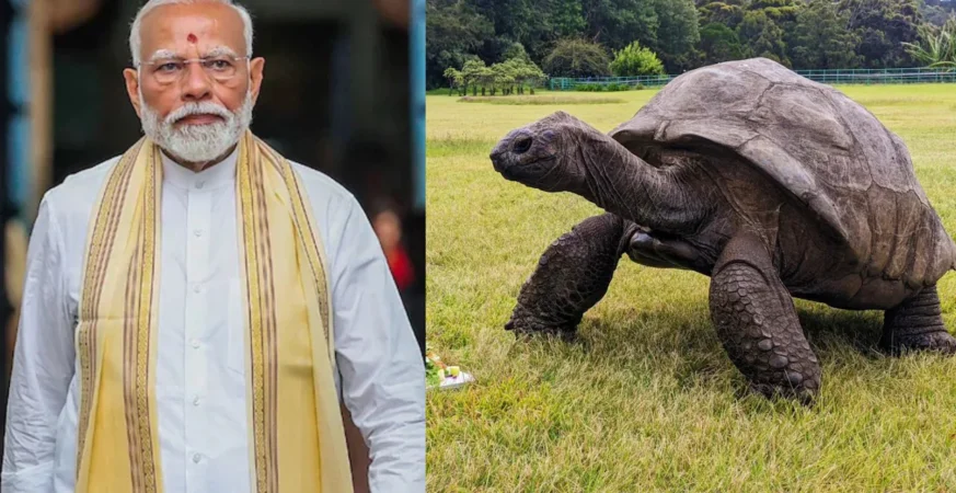प्रधानमंत्री नरेंद्र मोदी और दुनिया के सबसे उम्रदराज़ जीवित स्थलीय जीव जोनाथन से जुड़ी सांकेतिक तस्वीर