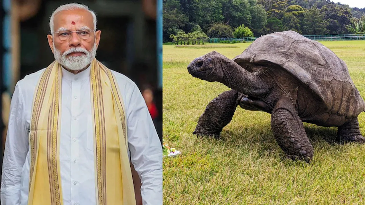 प्रधानमंत्री नरेंद्र मोदी और दुनिया के सबसे उम्रदराज़ जीवित स्थलीय जीव जोनाथन से जुड़ी सांकेतिक तस्वीर