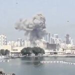 सुप्रीम कोर्ट ने तमिलनाडु में गोवध पर मद्रास हाईकोर्ट के प्रतिबंधात्मक आदेश पर लगाई रोक