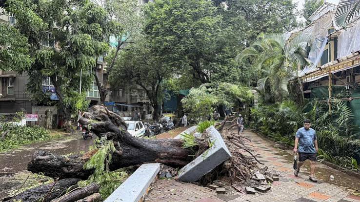 मुंबई, पालघर और रायगढ़ में रिकॉर्डतोड़ बारिश का कहर, 3-4 दिनों में 13 लोगों की मौत 5 Record Breaking Rain in Mumbai Palghar and Raigad