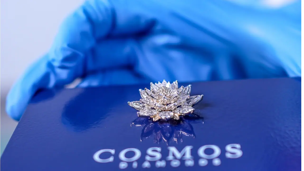 Skyroot's Vikram-1 to carry Cosmic Bloom diamond flower into space