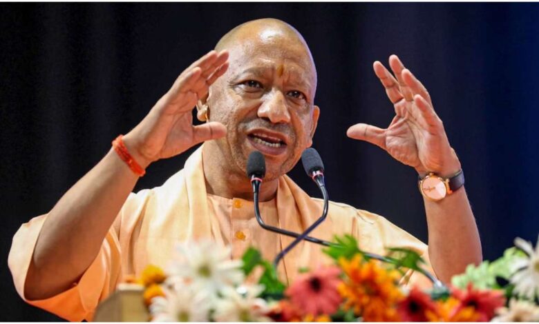 Yogi 780x470 1