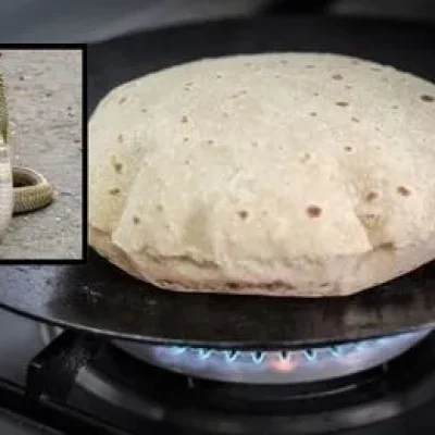 नाग पंचमी पर तवा वर्जित क्यों? जानें धार्मिक और वैज्ञानिक वजहें