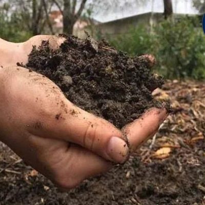 यूपी सरकार की पराली के बदले गोबर की खाद योजना